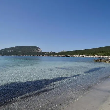 Pischina Salida-villetta Pavoncelle Holiday home *